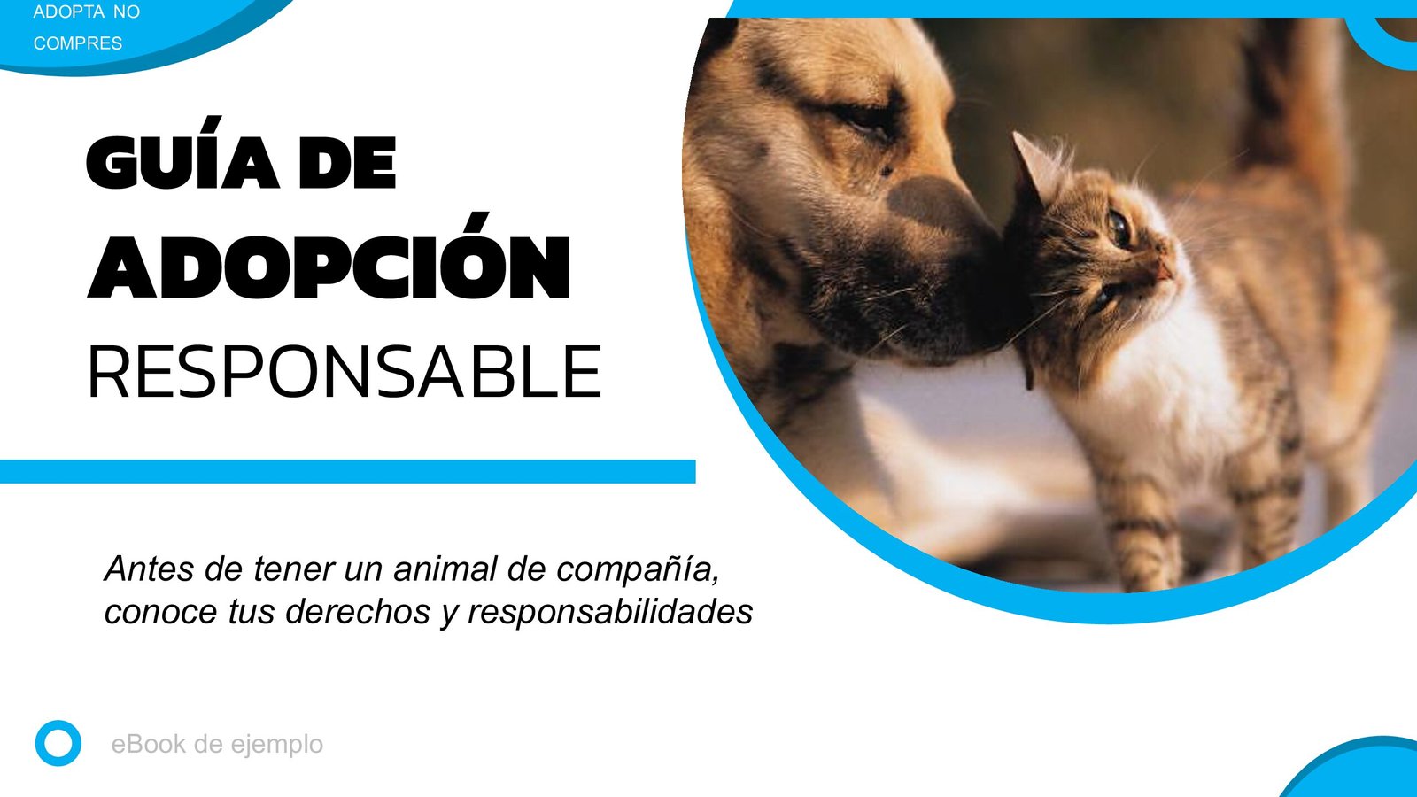 Guía PDF: Adopción responsable